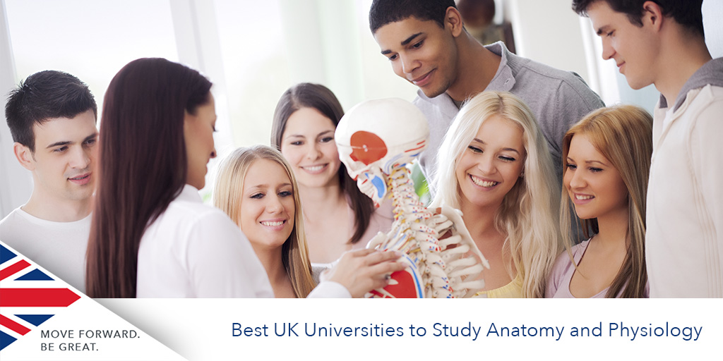 Best UK Universities to Study Anatomy and Physiology