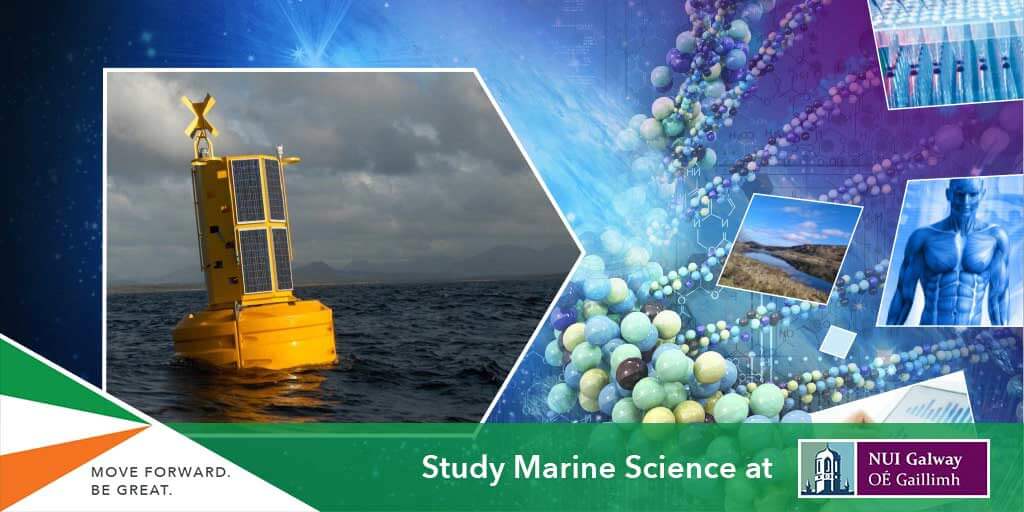 Study Marine Science at National University of Ireland Galway