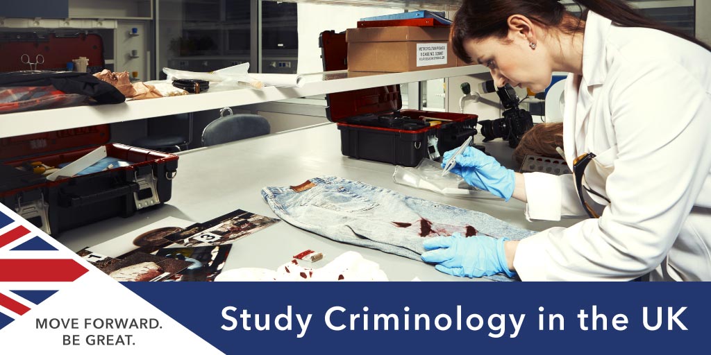Study  Criminology in the UK
