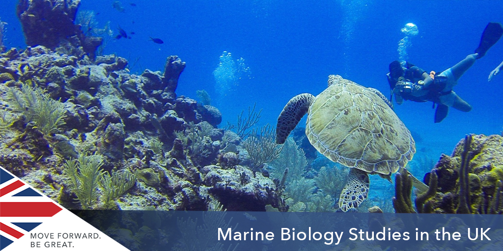 Marine biology Studies UK