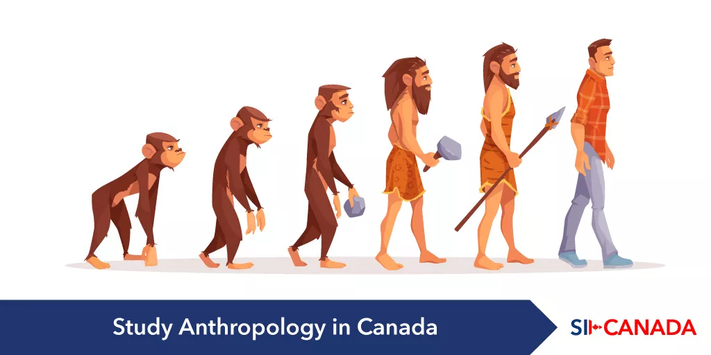 study anthropology canada