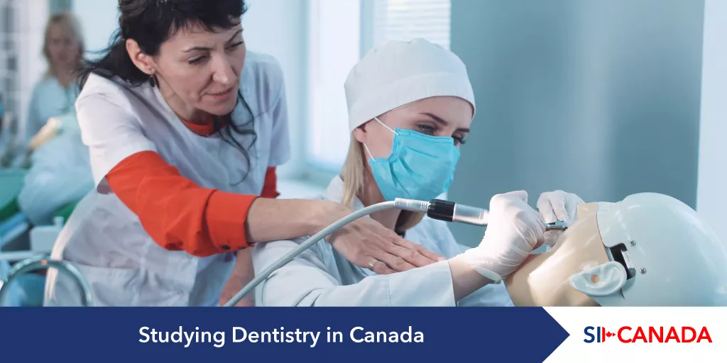 dentistry universities canada