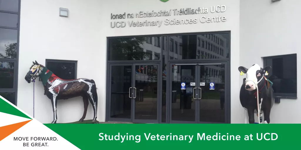 veterinary medicine ucd