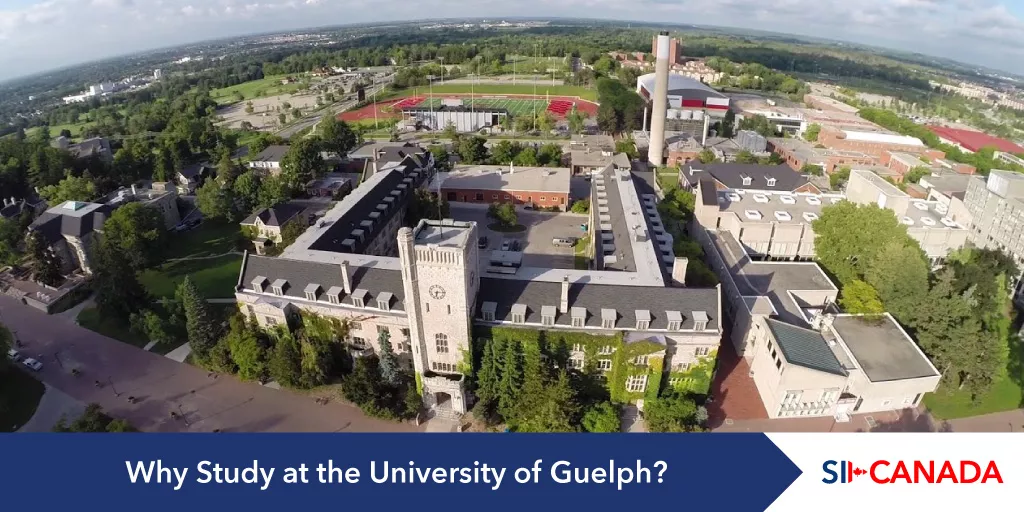 guelph university