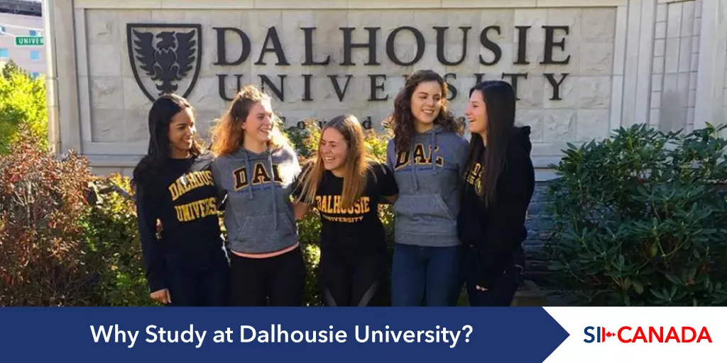 why study dalhousie university