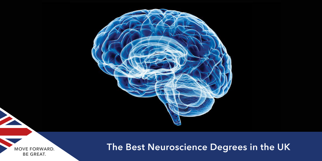 best neuroscience degrees uk